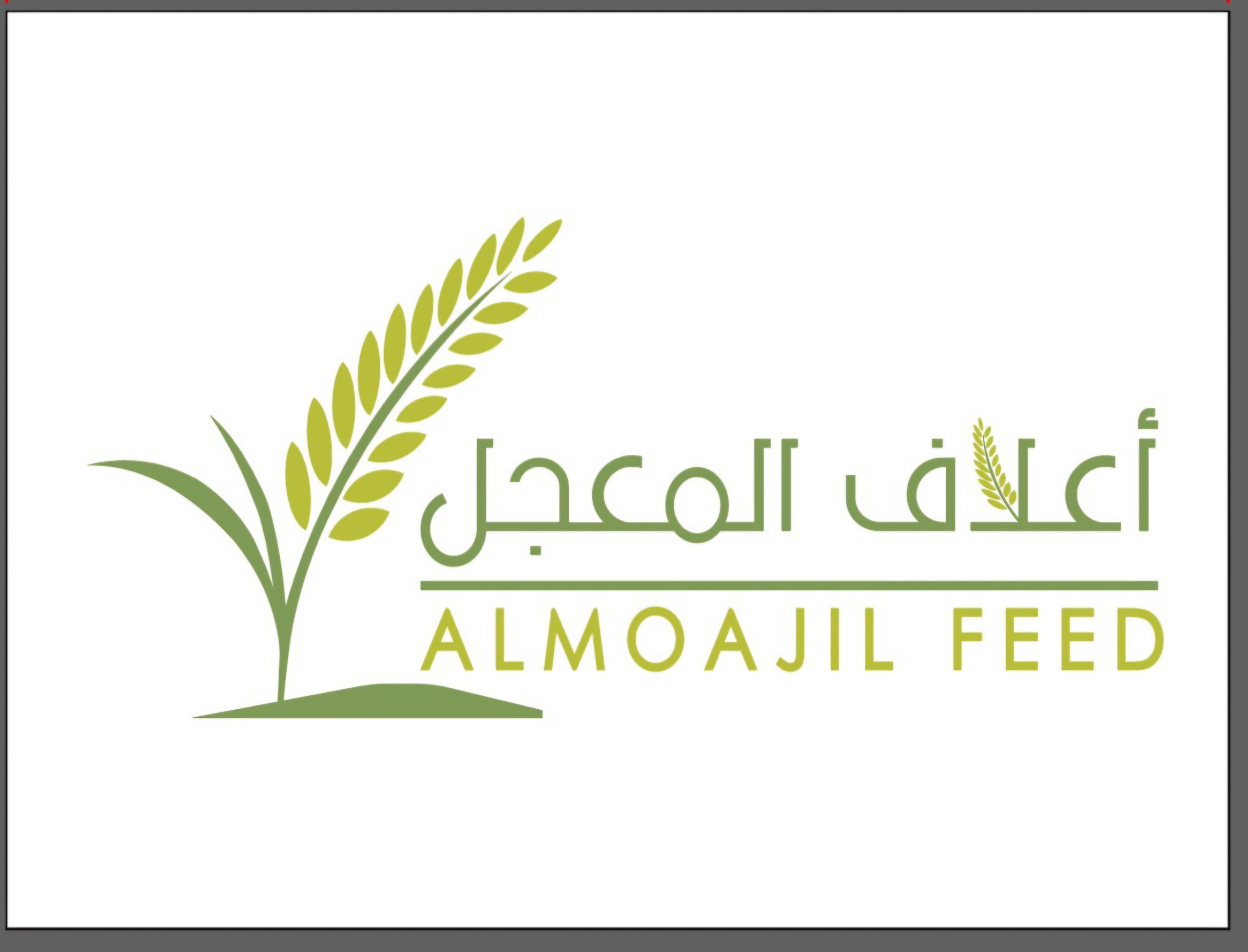 IMG 20251015 WA0020 scaled